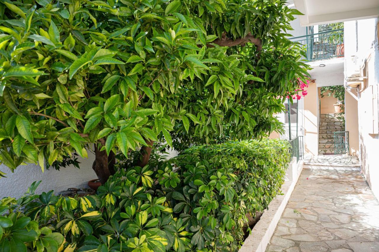 Villa Sofia Sea View Poros Town Exteriör bild